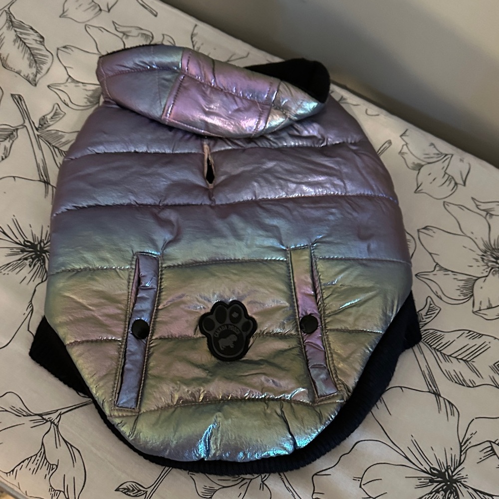 Iridescent Dog Jacket with hood